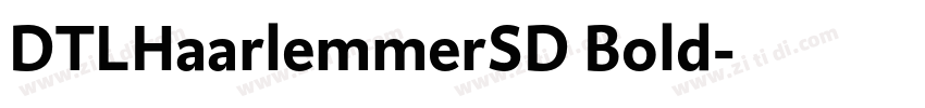 DTLHaarlemmerSD Bold字体转换